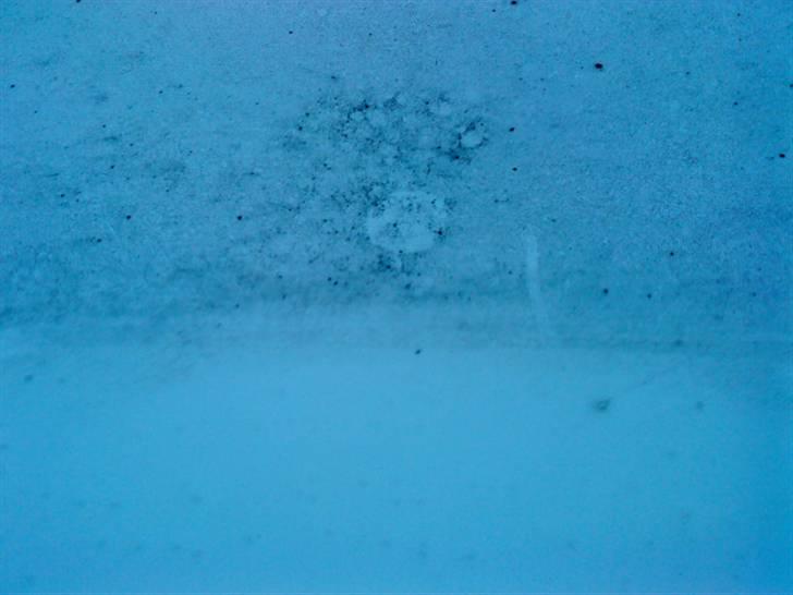 Hvad man ikke kan med en børste, sæbevand og en haveslange - Taget manglede bestemt at få en tur! billede 10