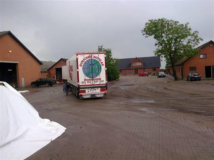 Billeder fra mine ture hos VB Transport billede 97