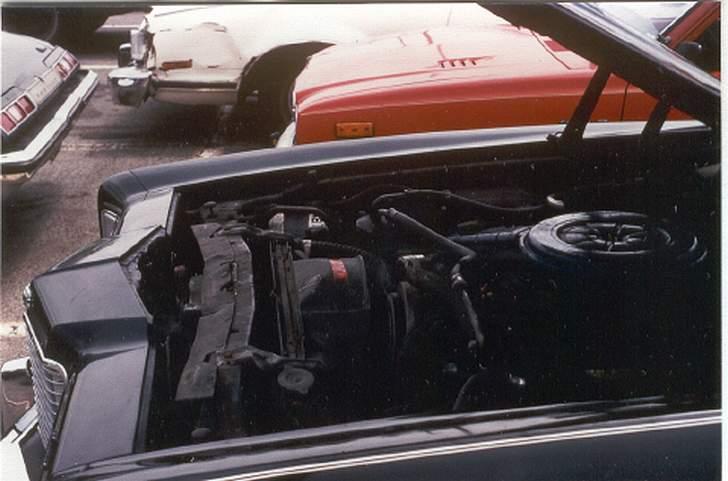 1975 Mercury Montego MX - Sådan ser en 351cui motor altså ud. Havde ikke meget begreb om motorer, men fulgte troligt min fars råd om at holde øje med oliepinden. Den brugte lidt olie, så det var helt OK. billede 8