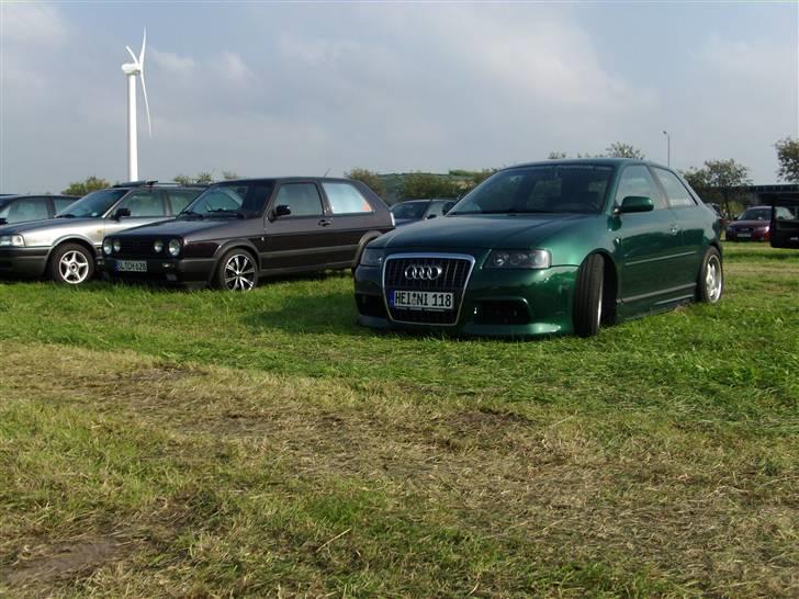 VW & AUDI treffen Schafflund 09' billede 6