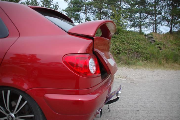 HELL-Shell - vaskehal... billede 1