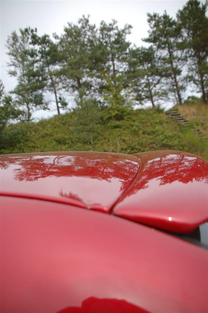 HELL-Shell - vaskehal... billede 6