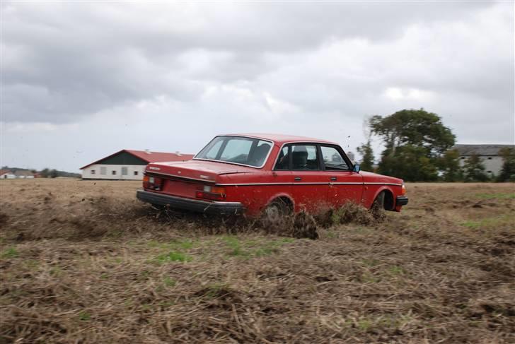 VOLDSOM VOLVO billede 2