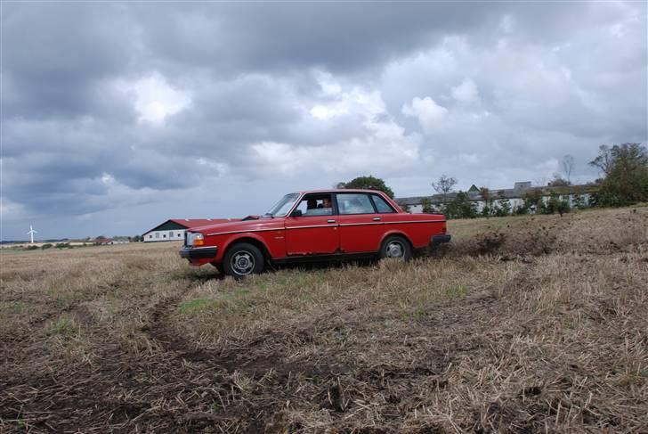 VOLDSOM VOLVO billede 10