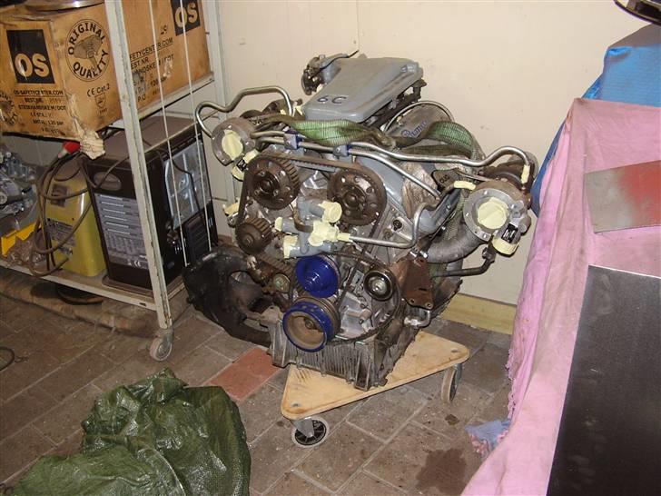 Alfa Romeo Alfetta GTV - Alfa hjertet indkøbt og fragtet hjem:) det skal nok blive sjov
købt af Eddie C fra Sønderjylland. billede 111