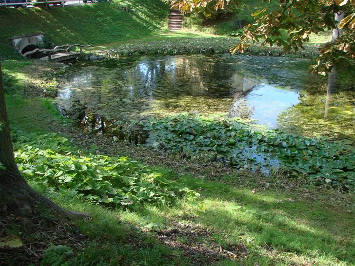 BELLA ITALIA Nyborg slot 12/9-09 billede 3