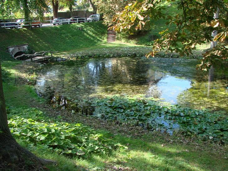 BELLA ITALIA Nyborg slot 12/9-09 billede 4