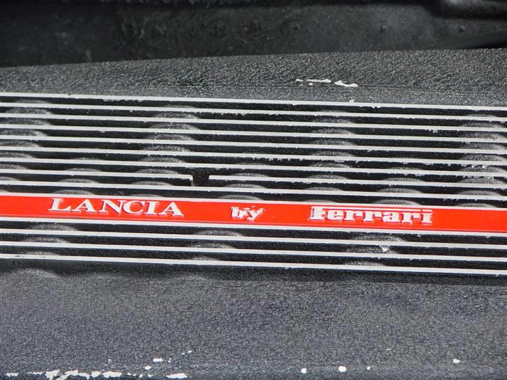 BELLA ITALIA Nyborg slot 12/9-09 billede 43