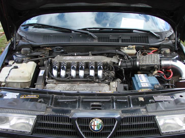 BELLA ITALIA Nyborg slot 12/9-09 billede 151