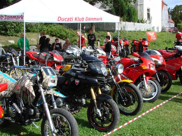 BELLA ITALIA Nyborg slot 12/9-09 billede 278