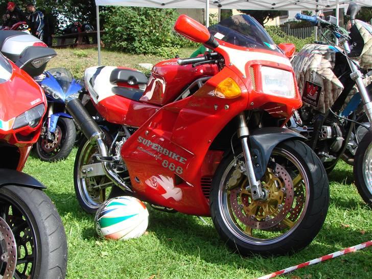 BELLA ITALIA Nyborg slot 12/9-09 billede 280