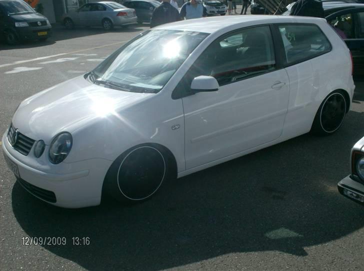 Golf træf padborg park billede 30