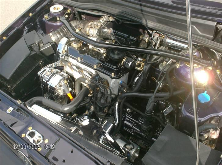 Golf træf padborg park billede 48