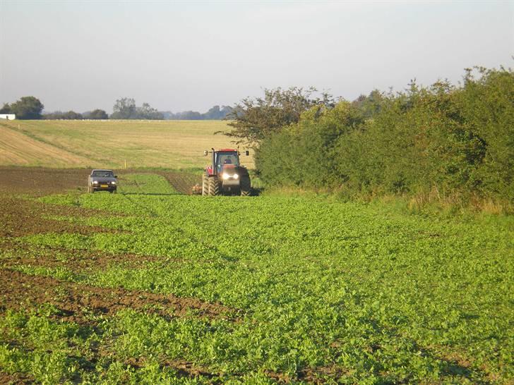 Her er lidt fra min gamle arbejds plads - Her er et til billede af den case vi havde på prøve billede 13