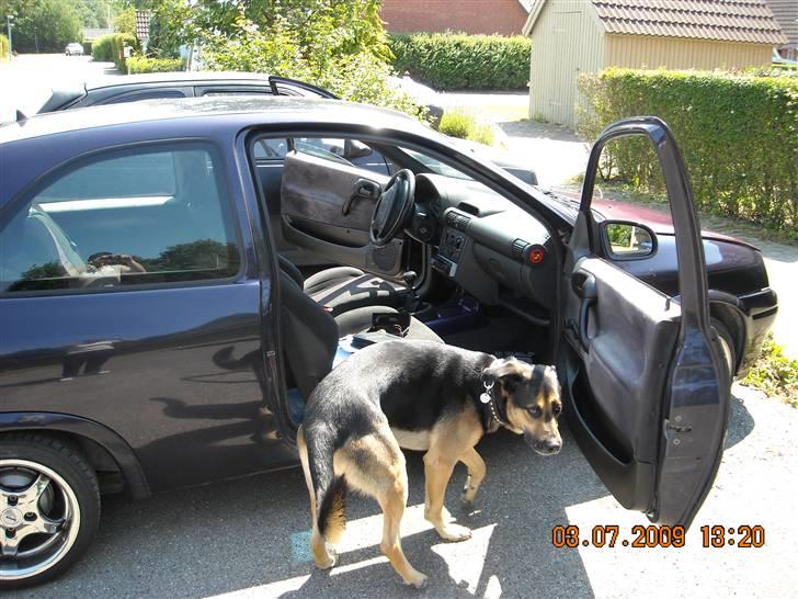 Lidt tuning og styling af corsa b billede 33