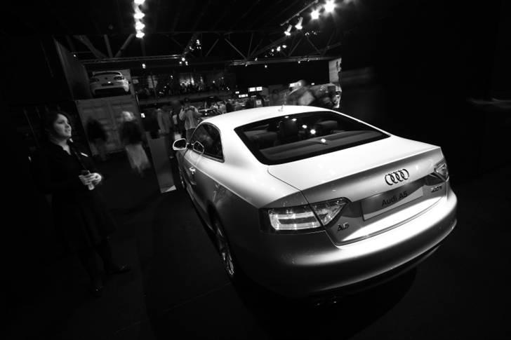 Audi A5/S5 de flotteste billeder/modeller billede 13