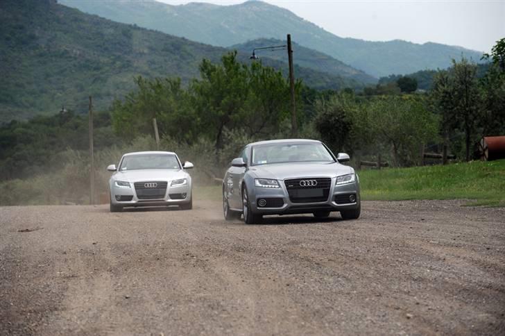 Audi A5/S5 de flotteste billeder/modeller billede 18