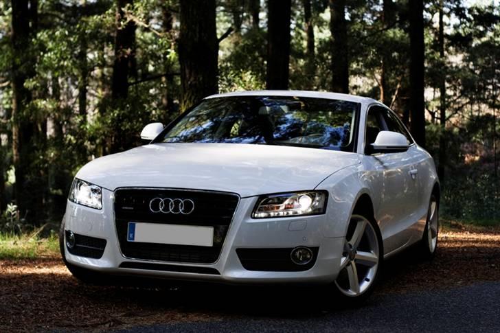 Audi A5/S5 de flotteste billeder/modeller billede 19