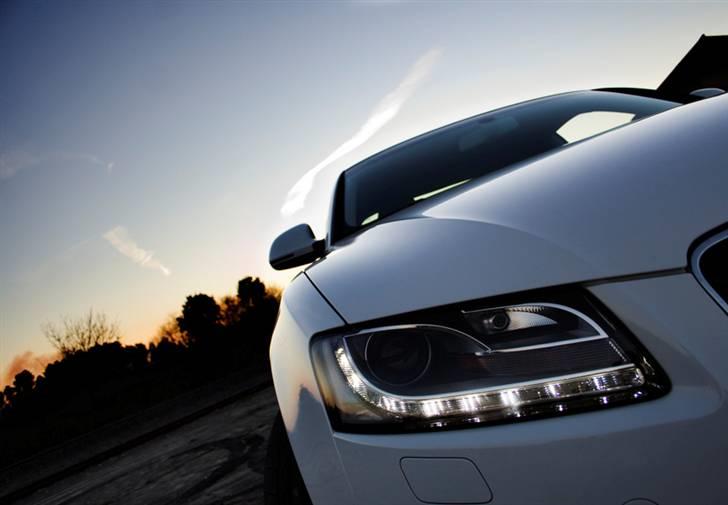 Audi A5/S5 de flotteste billeder/modeller billede 20