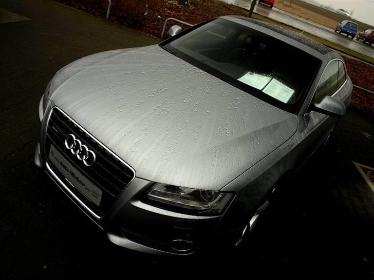 Audi A5/S5 de flotteste billeder/modeller billede 33