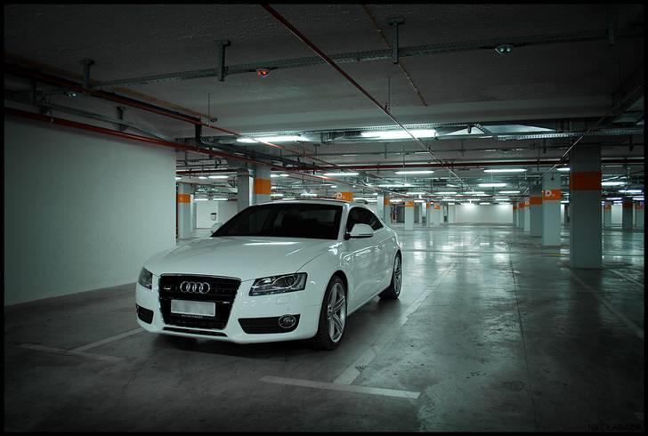 Audi A5/S5 de flotteste billeder/modeller billede 42