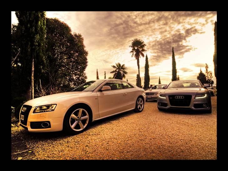 Audi A5/S5 de flotteste billeder/modeller billede 49