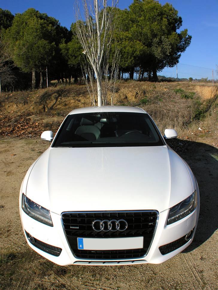 Audi A5/S5 de flotteste billeder/modeller billede 51