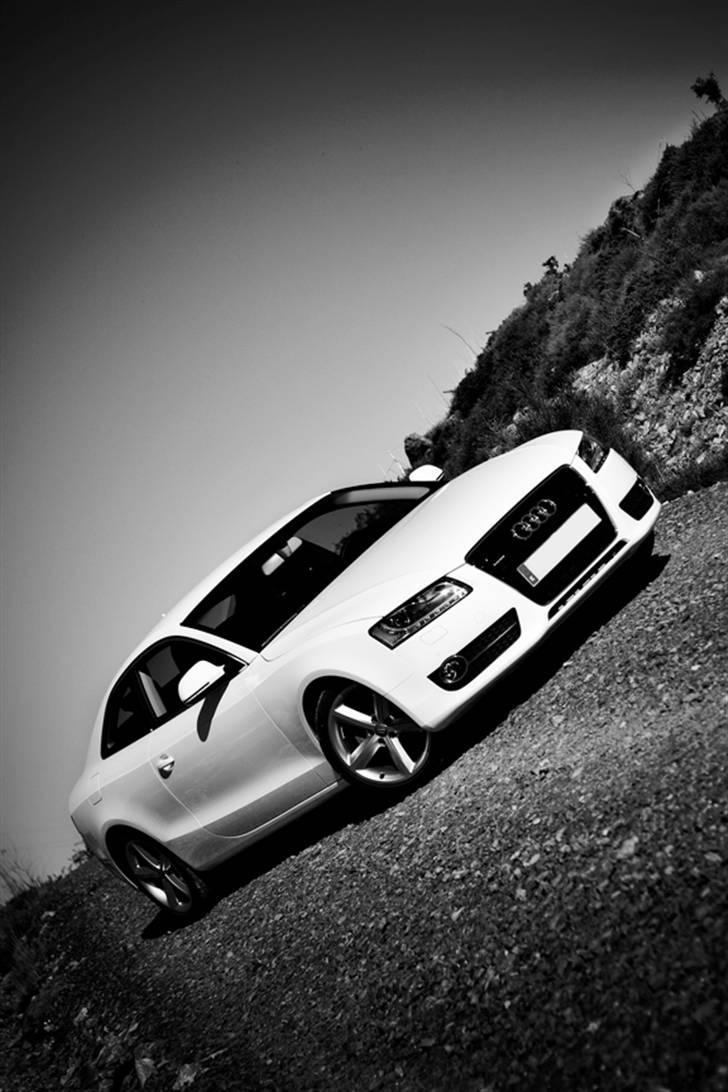 Audi A5/S5 de flotteste billeder/modeller billede 57