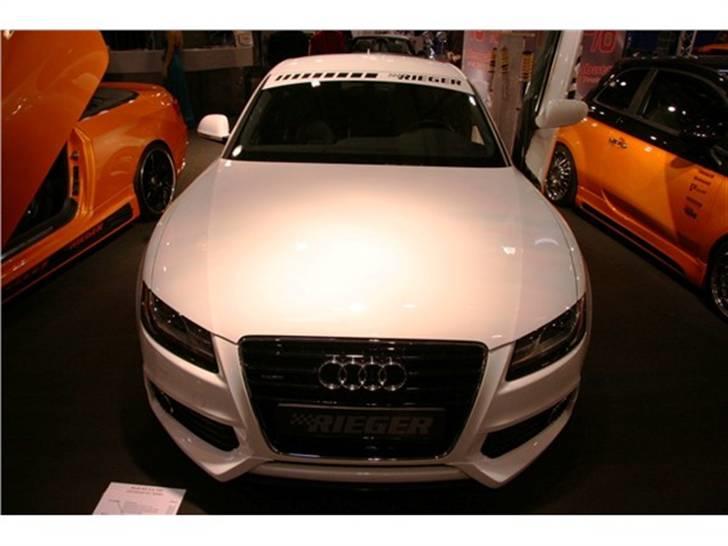 Audi A5/S5 de flotteste billeder/modeller billede 98