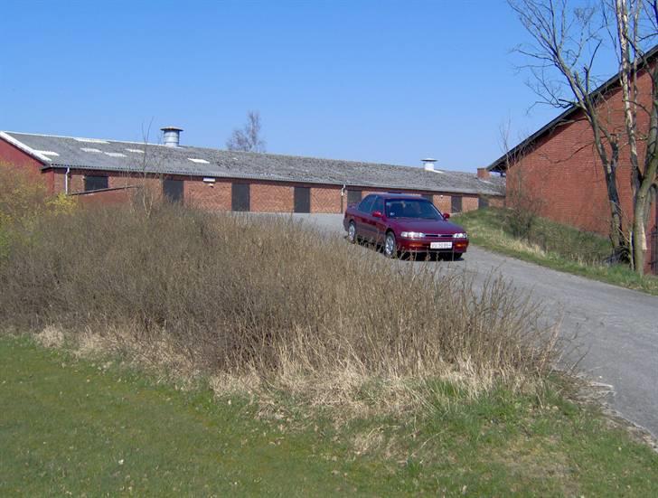 Honda accord CB7 billede 24