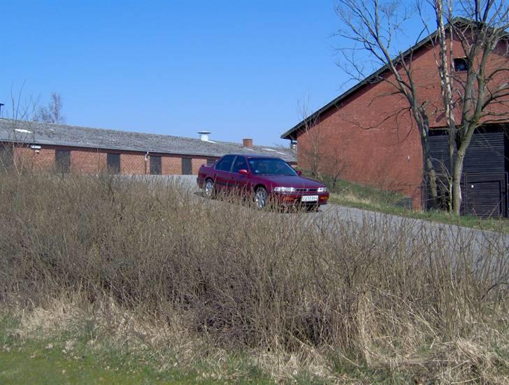 Honda accord CB7 billede 25