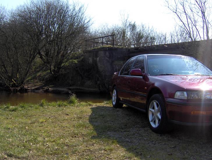 Honda accord CB7 billede 37