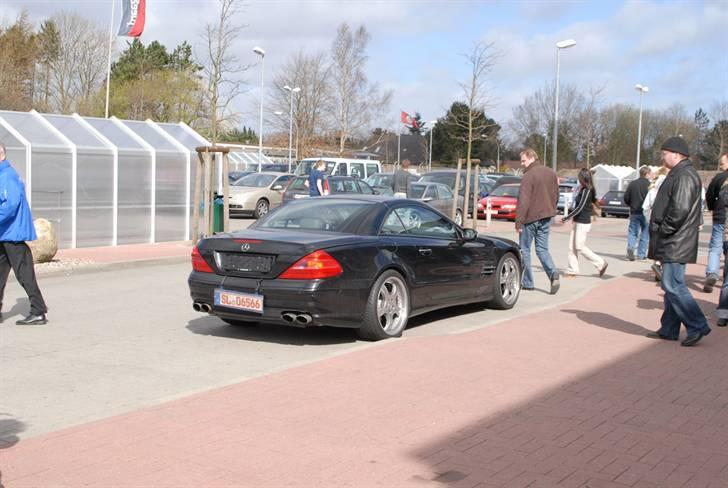 Fede Biler ved Fleggaard billede 29