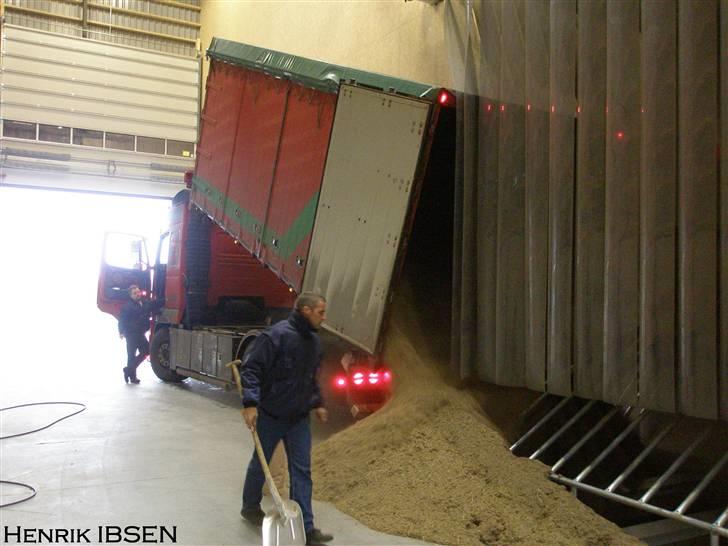 Aktiv Containerservice - Af med græsfrøene, ved Barenbrug i Tinglev billede 46