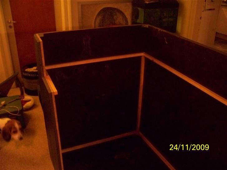 Hjemmebar billede 12