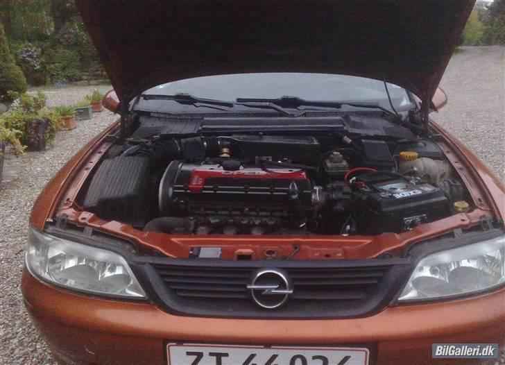 Mine bedste biler vectra b turbo - Vectra b med c20xe motor 180hk
den går godt billede 6