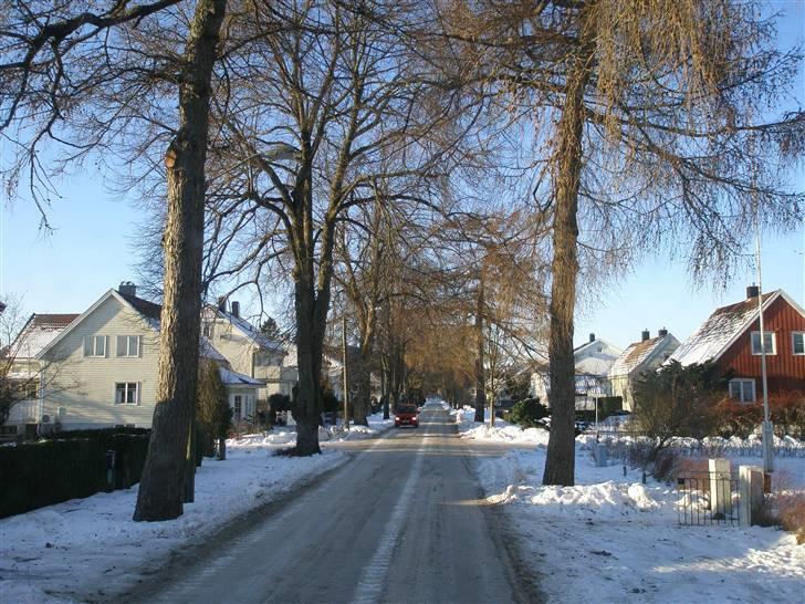 Aktiv Containerservice - Vi prøver den her vej, den ser lidt større ud, end den anden billede 157