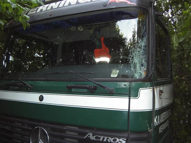 Lastbiler Kai Andersens eftf. - Lastbilen passer da sammen med naturen i farven. :-) billede 165