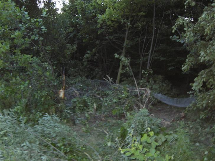 Lastbiler Kai Andersens eftf. billede 177