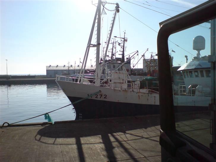 Mine Gl. lastbiler - En lørdag morgen på Bornholm over efter fisk i Nexø billede 11