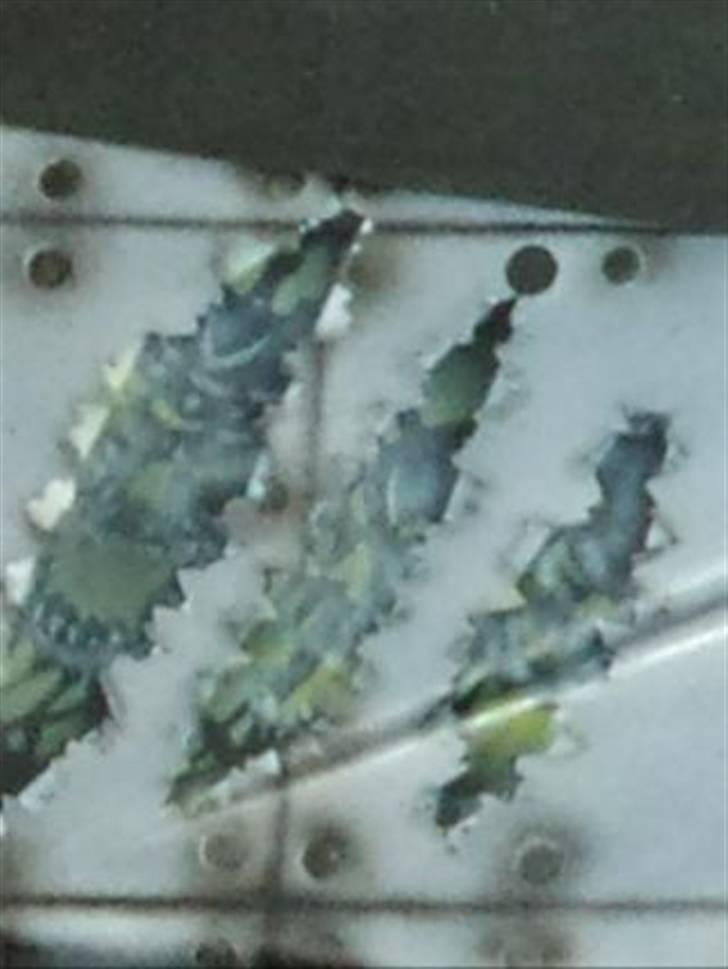 Mit første airbrush billede 5