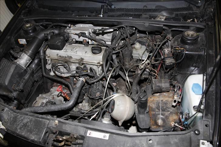 Golf GTI - Lydisolering og kabel føring - Motoren, vil nu være dejligt med et 16V topstykke :P
På billedet er jeg igang med at lave nye stelforbindelser, samt beklæde alle kabler med AIV Snakeskin. Samt montere de nye poler til batteriet. billede 21