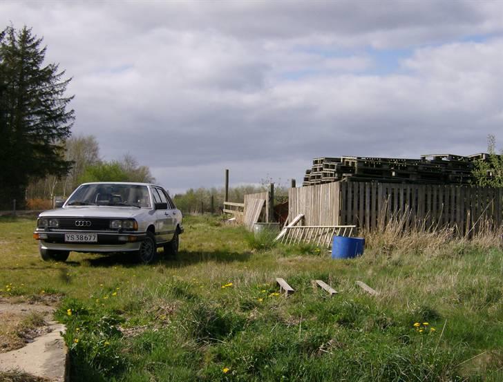 Audi 200 Turbo Type 43 billede 19