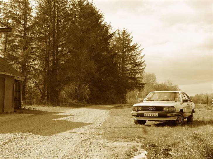 Audi 200 Turbo Type 43 billede 10