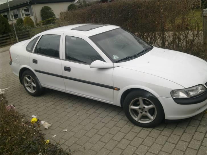 Ennu mere rustarbejde  billede 7