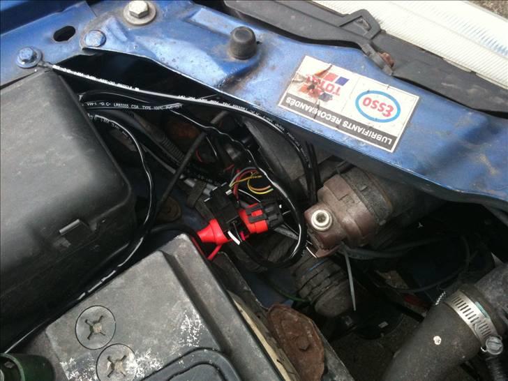 LED strip lys og xenon kit billede 9