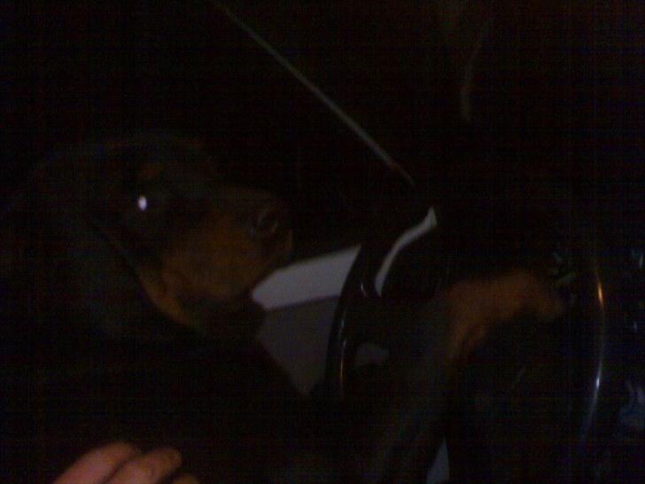 Lige lidt billeder af mine dejlige dyr. billede 12