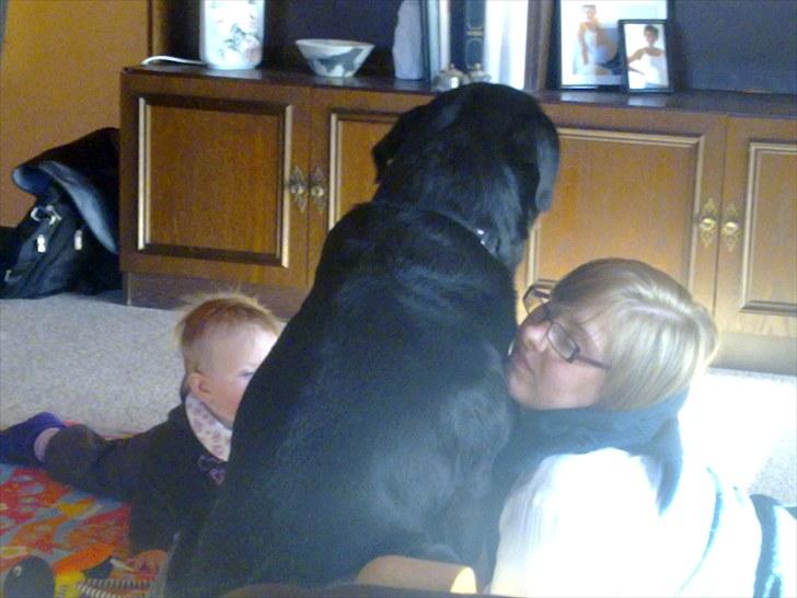 Lige lidt billeder af mine dejlige dyr. billede 24