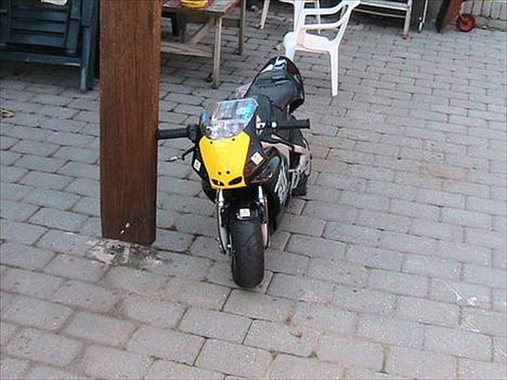 Polini dream bike billede 1