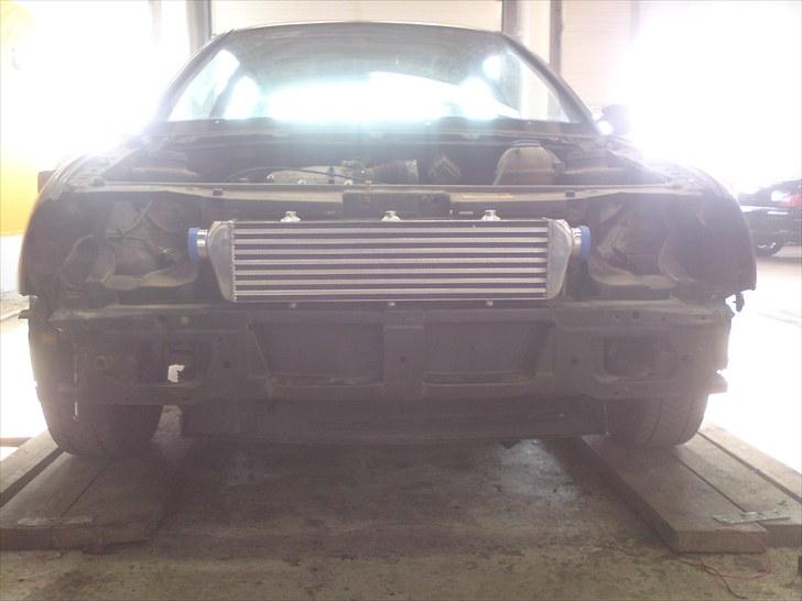 Ctstyling.dk til DHB 2010 billede 15